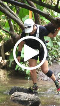 BIB:  <button type="button" onclick="openModal(27825606)" class="btn btn-primary btn-sm float-right" data-toggle="modal" data-target=".modal-high-quality">
                <i class="fa fa-download"></i> Download
                </button>